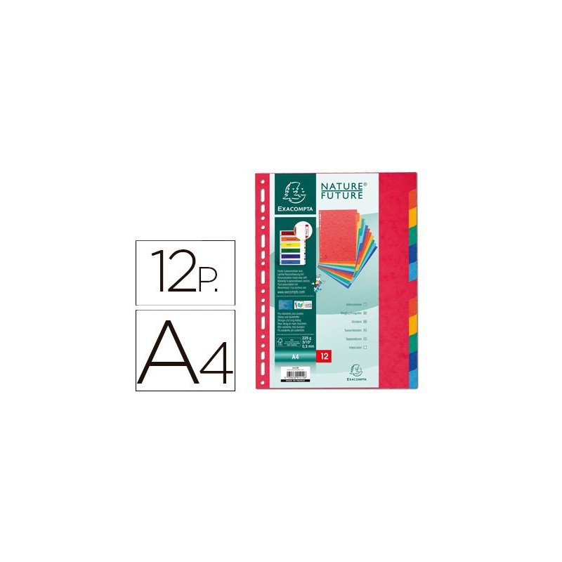 Separador Exacompta A-4 12 colores cartulina 1412