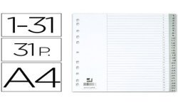 SEPARADOR NUMERICO Q-CONNECT 1-31